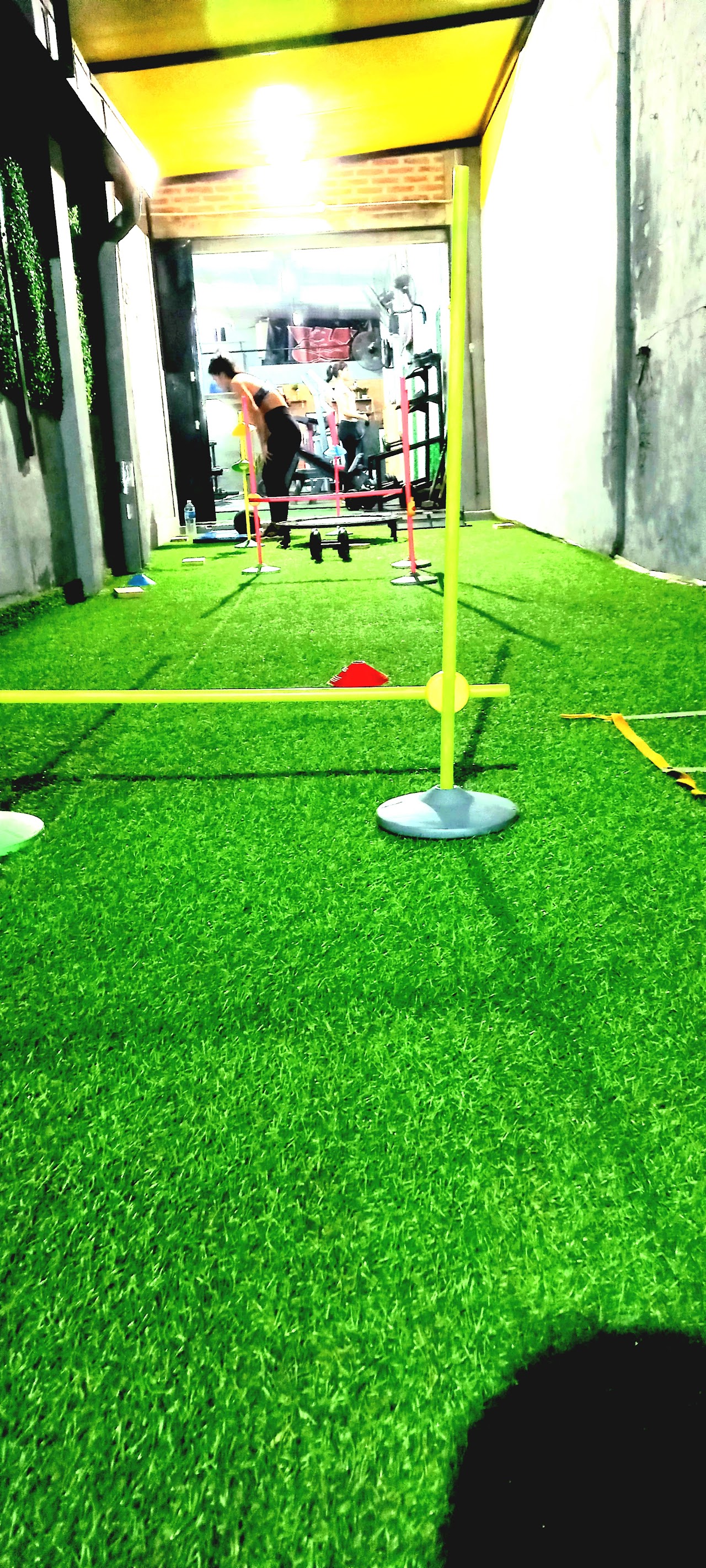 Musculación e Hipertrofia